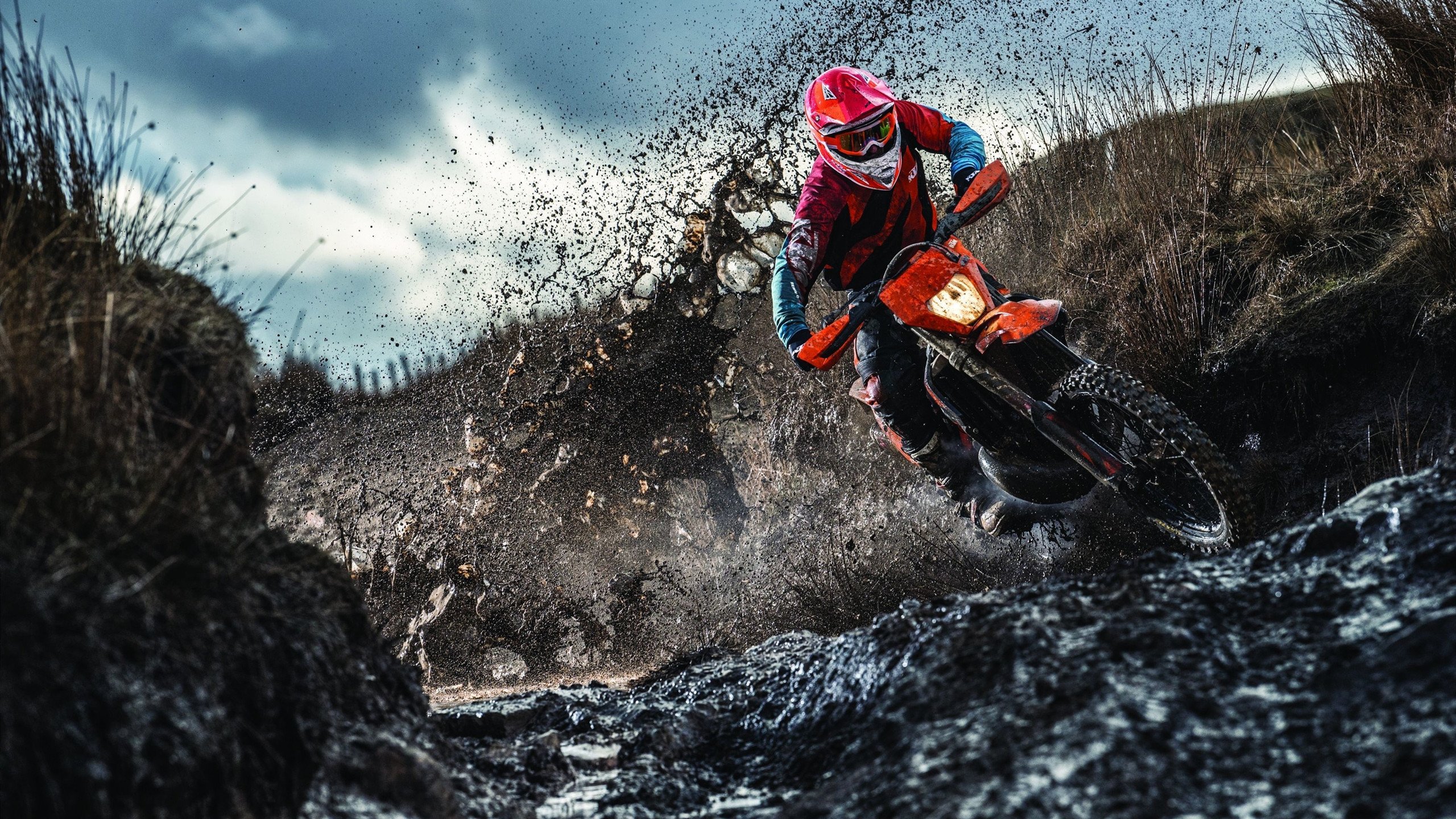 球迷文化塑造赛场灵魂,从助威到公益,看现代体育的温情力量